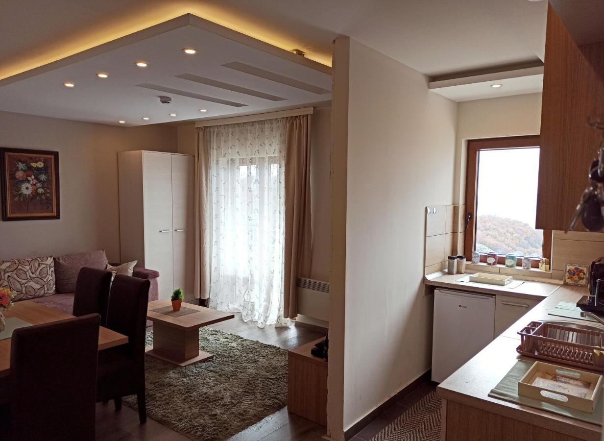 Modern Lux Apartment H8 At Milmari Resort 科帕奥尼克 外观 照片